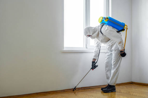 Best Mosquito Control Services  in Enterprise, NV