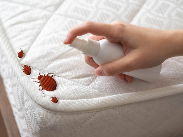  Enterprise, NV Pest Control Pros