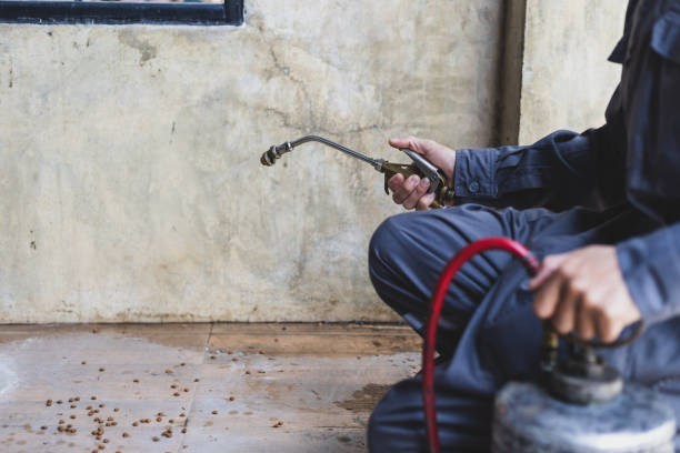 Best Pest Inspection Near Me  in Enterprise, NV